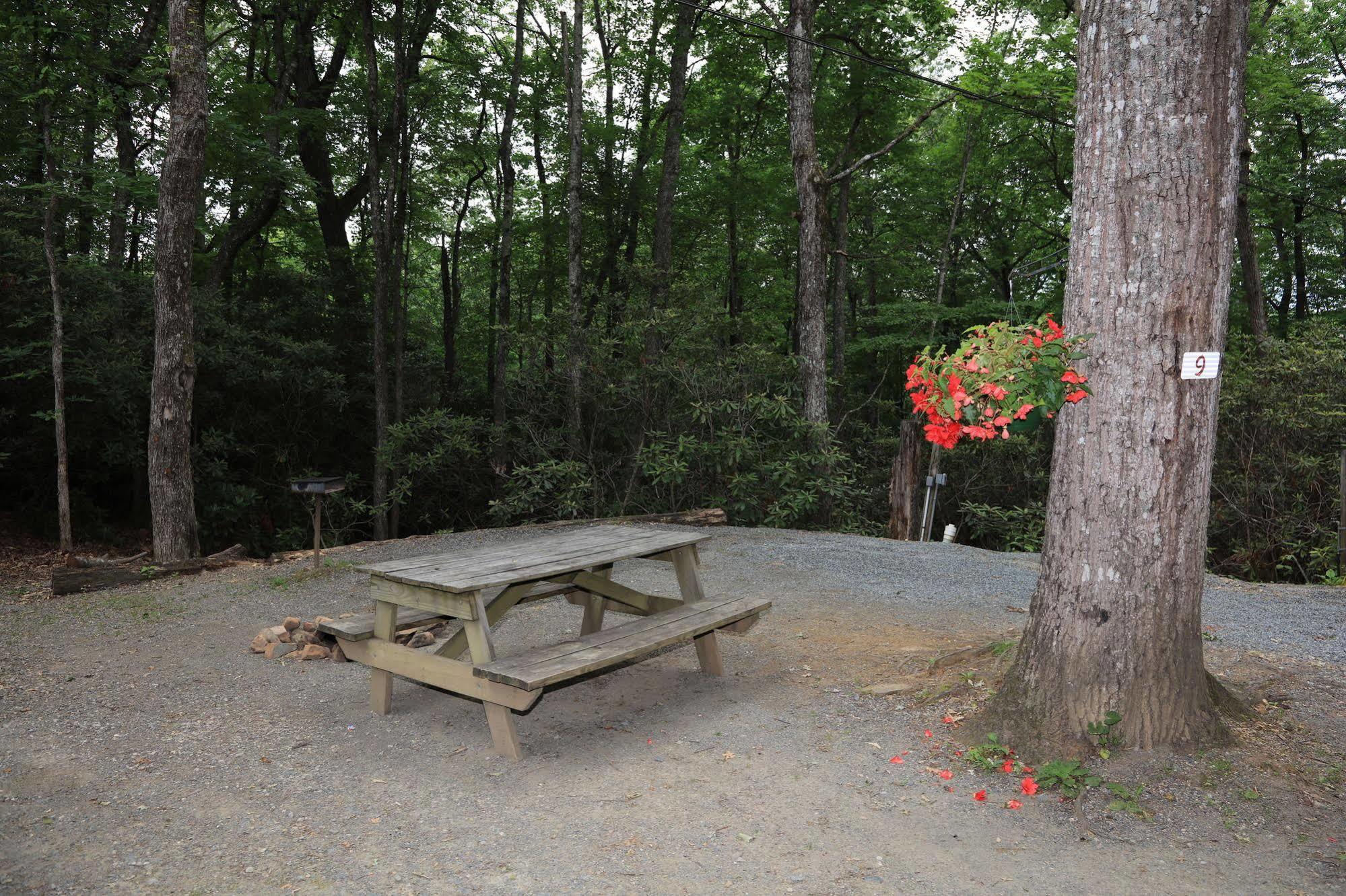 Linville Falls Campground, Rv Park, And Cabins Buitenkant foto